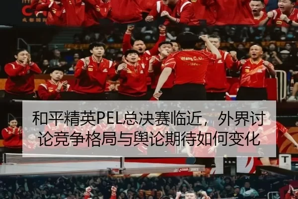 和平精英PEL总决赛临近，外界讨论竞争格局与舆论期待如何变化