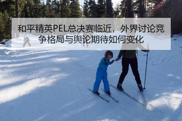 和平精英PEL总决赛临近,外界讨论竞争格局与舆论期待如何变化